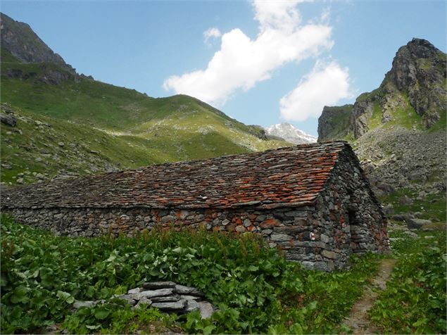 Sentier des Chamois - verbier.ch