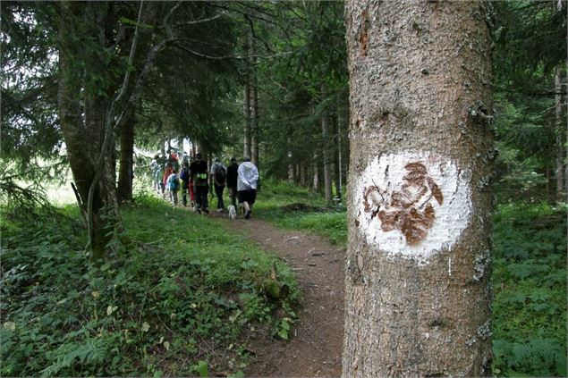 Sentier des Mines