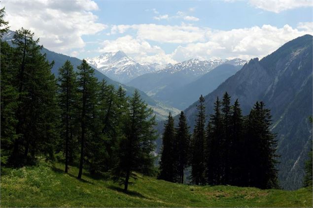 Sentier des Mines