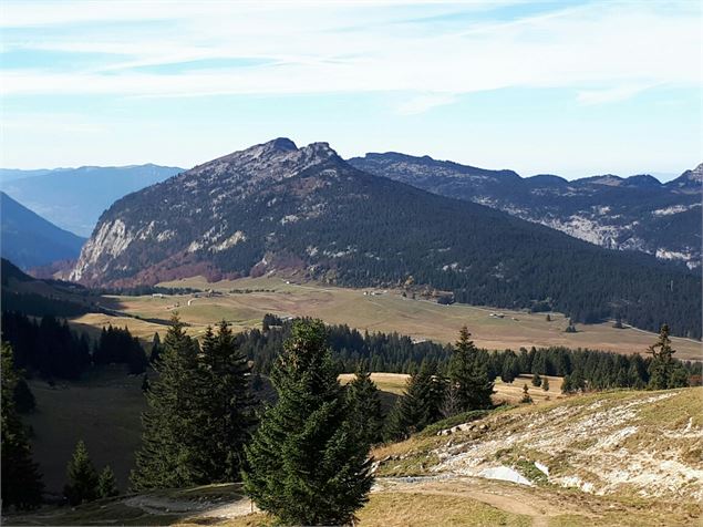 Plateau des Glières - Nicole Tissot