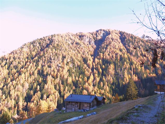 Sentier du vieux bisse