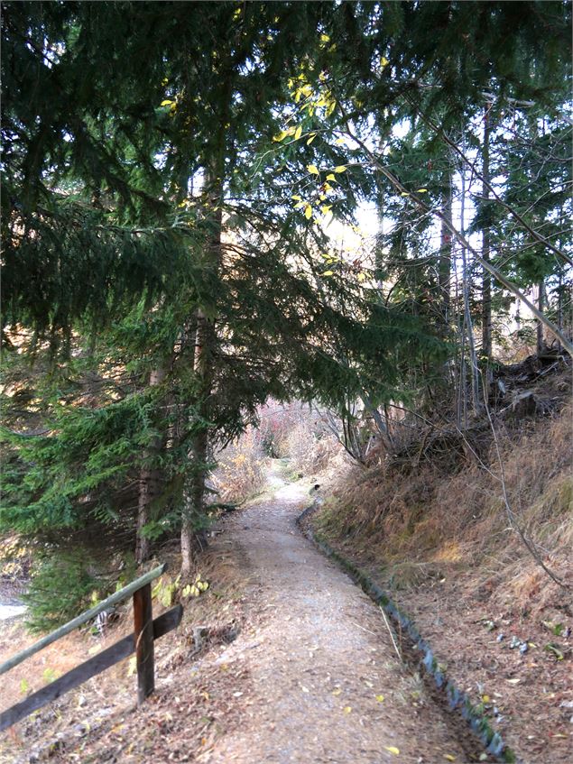 Sentier du vieux bisse