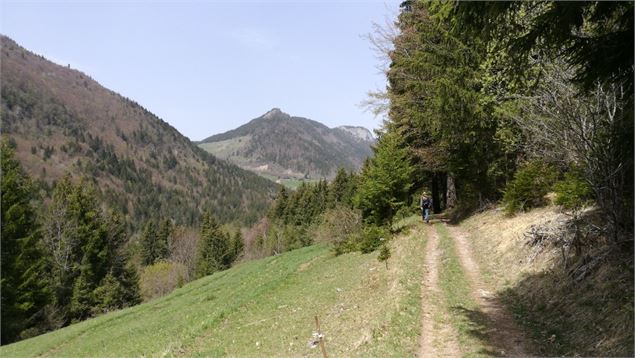 En direction du Col de la Forclaz - Nicole Tissot