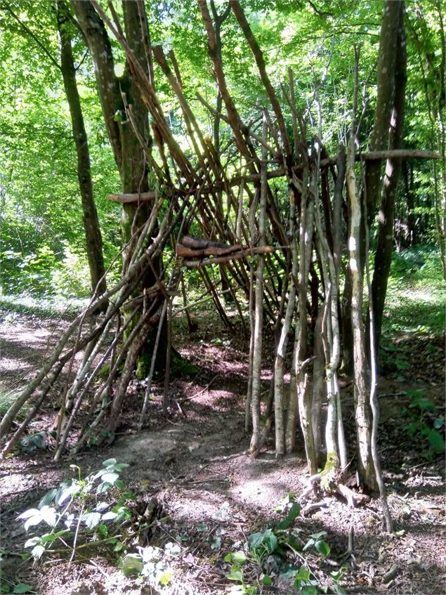 Forêt du Noyer - Christine Sola DCT