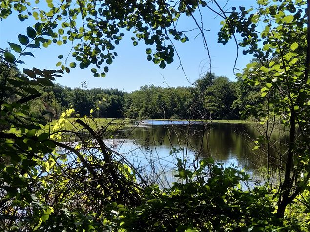 Etang Bois Rond - Christine Sola DCT