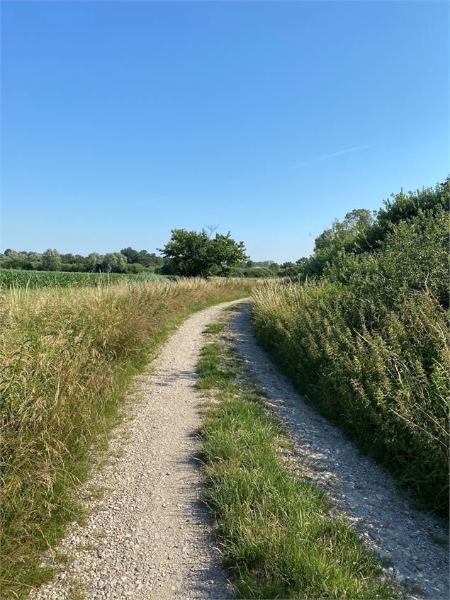 Chemin de campagne - Christine Sola DCT