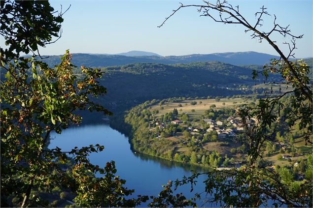 Point de vue - Carine Monfray