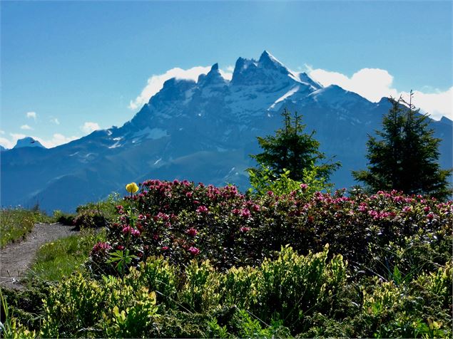 L’arête de Berroi