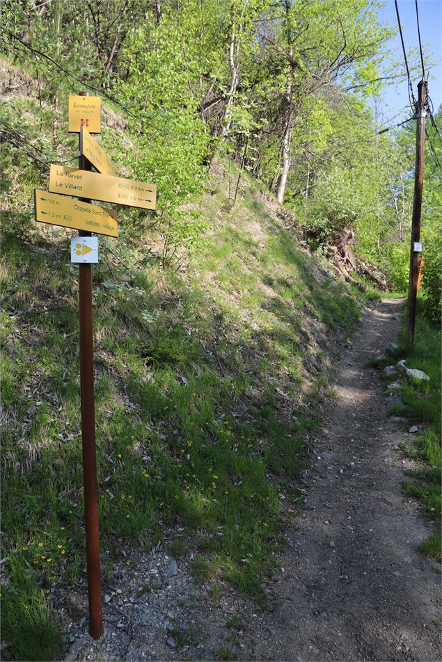 Le sentier écosylve de Valloire - Pascal Delannoy - Valloire Tourisme