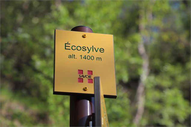 Le sentier écosylve de Valloire - Pascal Delannoy - Valloire Tourisme