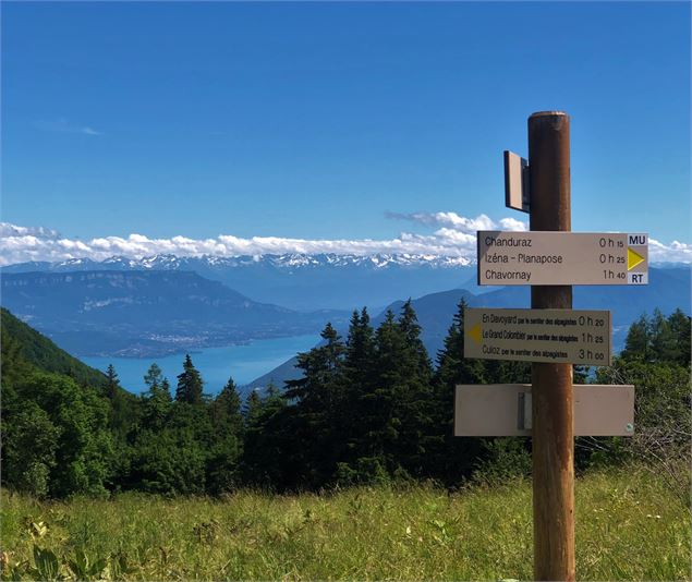 Vue depuis en Pryse - Massif du Grand Colombier - © Maxime Ballet