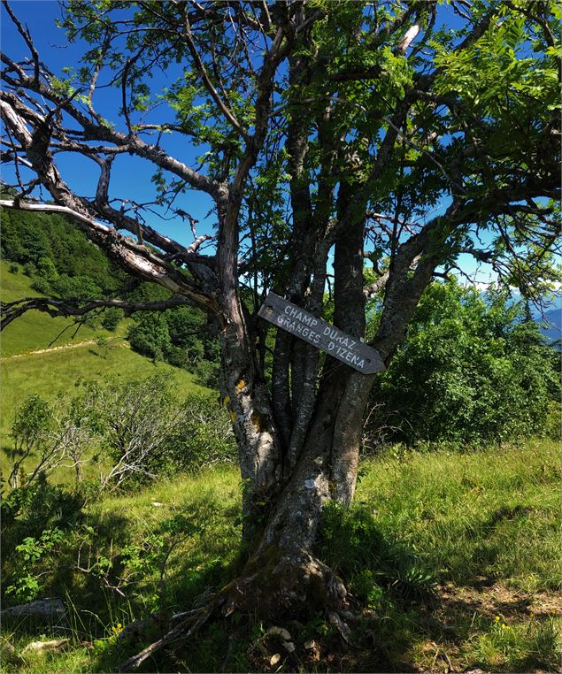 Panneau à En Pryse - © Maxime Ballet