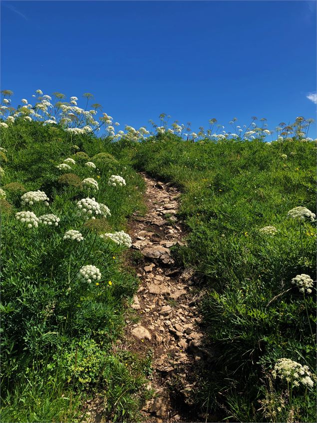 Sentier sur la roche de Chanduraz - © Maxime Ballet