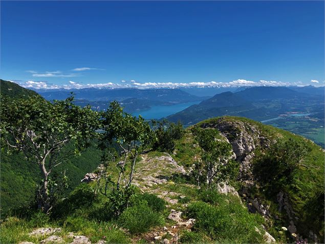 Sentier sur la roche de Chanduraz - © Maxime Ballet