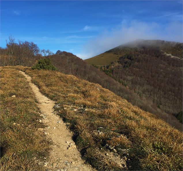 Sentier sur la Roche de Chanduraz - © Maxime Ballet