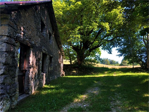 Granges d'Izena - Massif du Grand Colombier - © Maxime Ballet