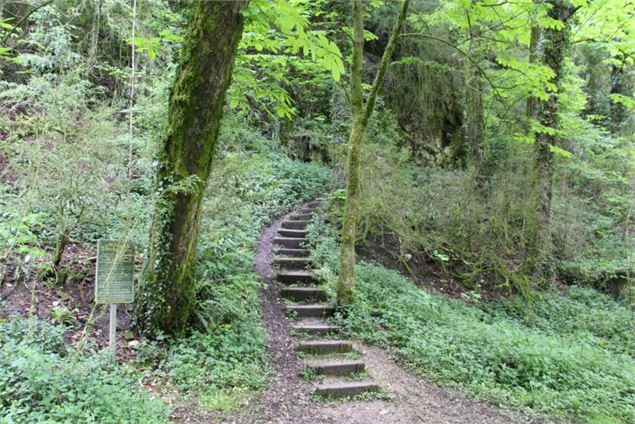 Cascade de la Vallière - Vallon des Faulx