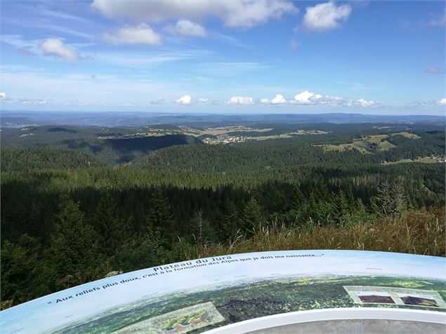 Crêt de Chalam - Groupe Tétras Jura