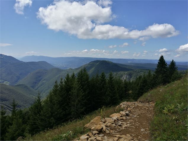 Crêt de Chalam - Groupe Tétras Jura