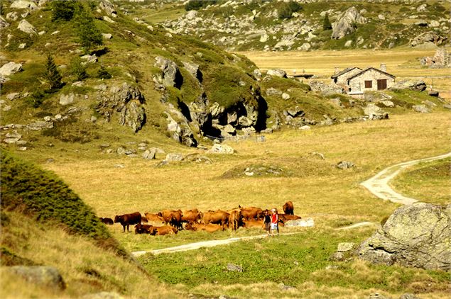 Randonnée à Sainte Foy - Sainte Foy Tourisme