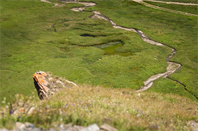 Vallon de l'Aiguille Noire - Thibaut Blais / Valloire Tourisme