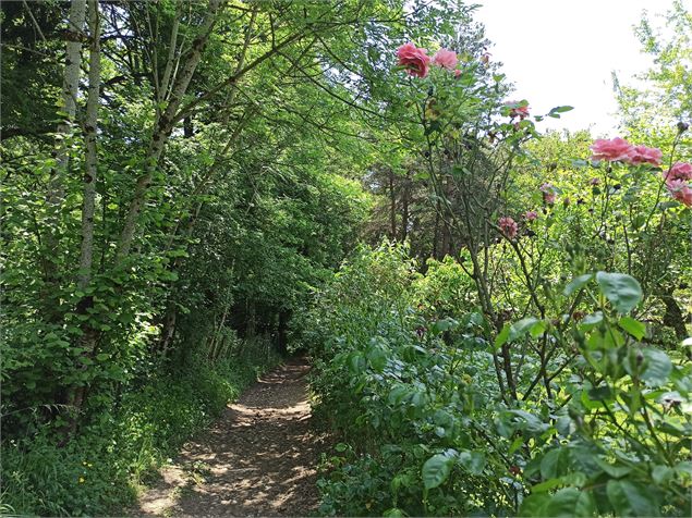 Le beau sentier des Brosses - K.Tranchina