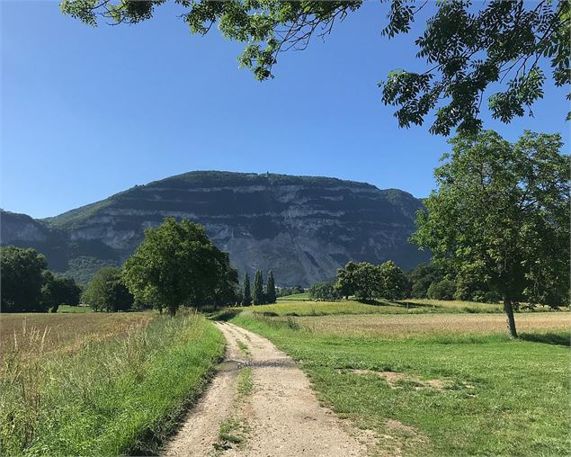 Sentier du Salève - Swiss Mobile