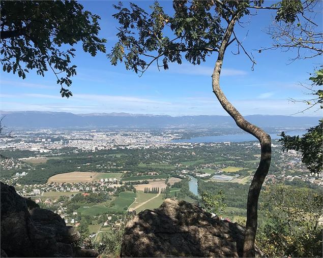 Sentier du Salève - Swiss Mobile