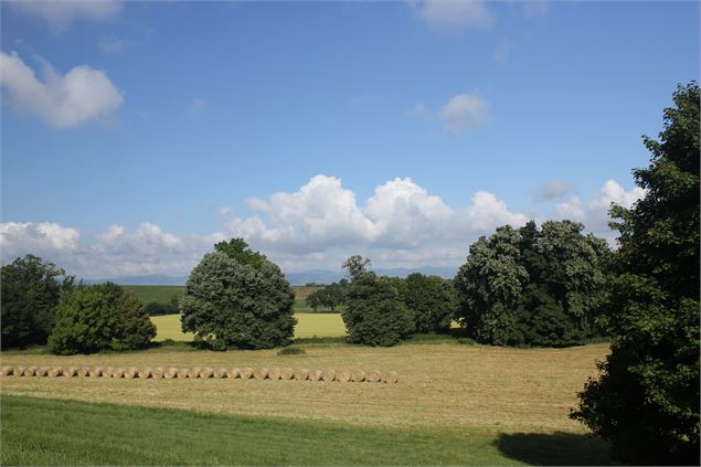 Circuit des Châteaux - Richard Schneider