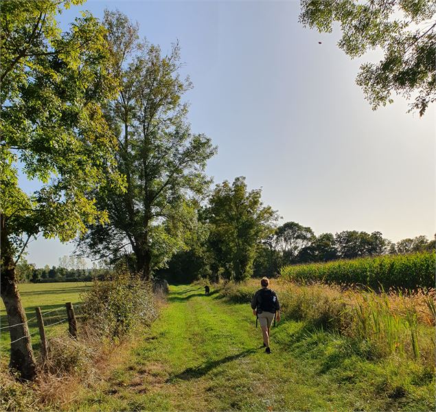 Sentier de randonnée - Lilian Eijssen