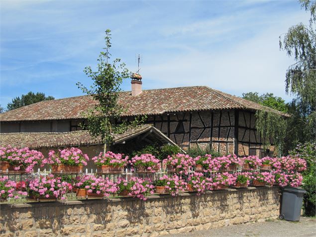 Ferme bressane fleurie - Lilian Eijssen