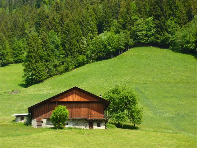 Beaufortain - Etape 1 - De Queige au Refuge de Lachat - SMB Lansard