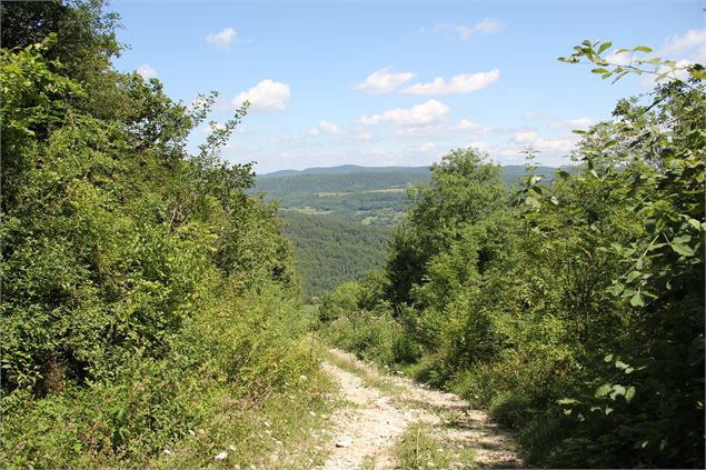 Descente nord de Nivigne - S.CAlland