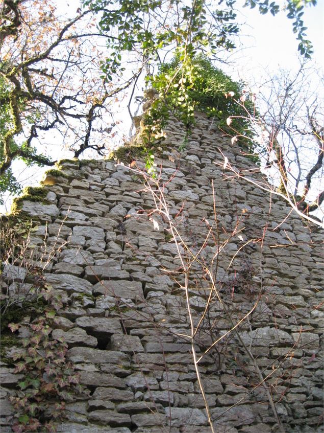 Ruines de Lomont - S.CAlland