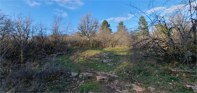 Vallée sèche du Revermont - scalland