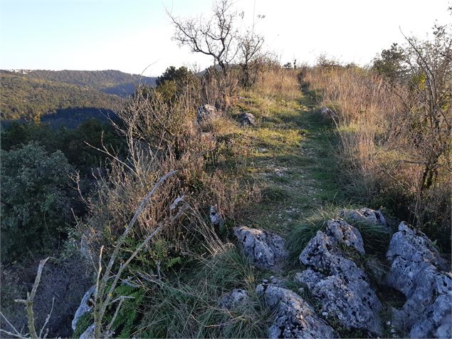 Crête de Montcel - scalland