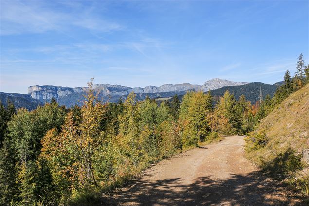 Sentier - OT Thônes Coeur des Vallées