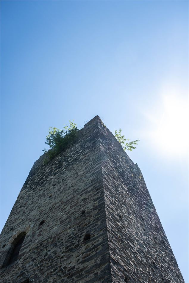 Tour de Montmayeur - OT Coeur de Savoie