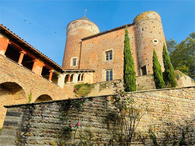 Cour intérieure château de Montellier - Château de Montellier