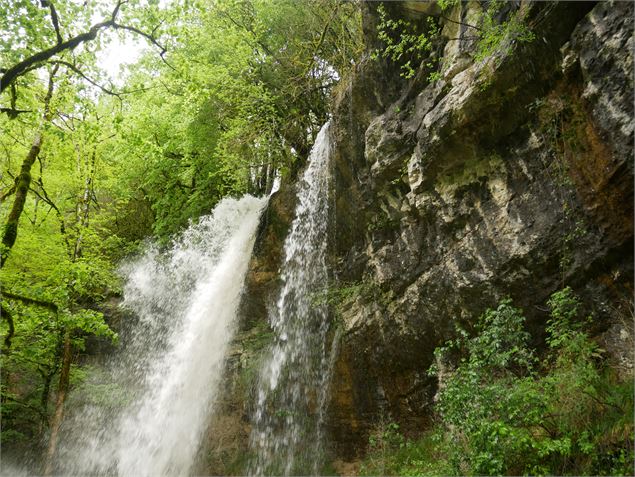 Cascade de Pisse-Vache - Morgane Saillard