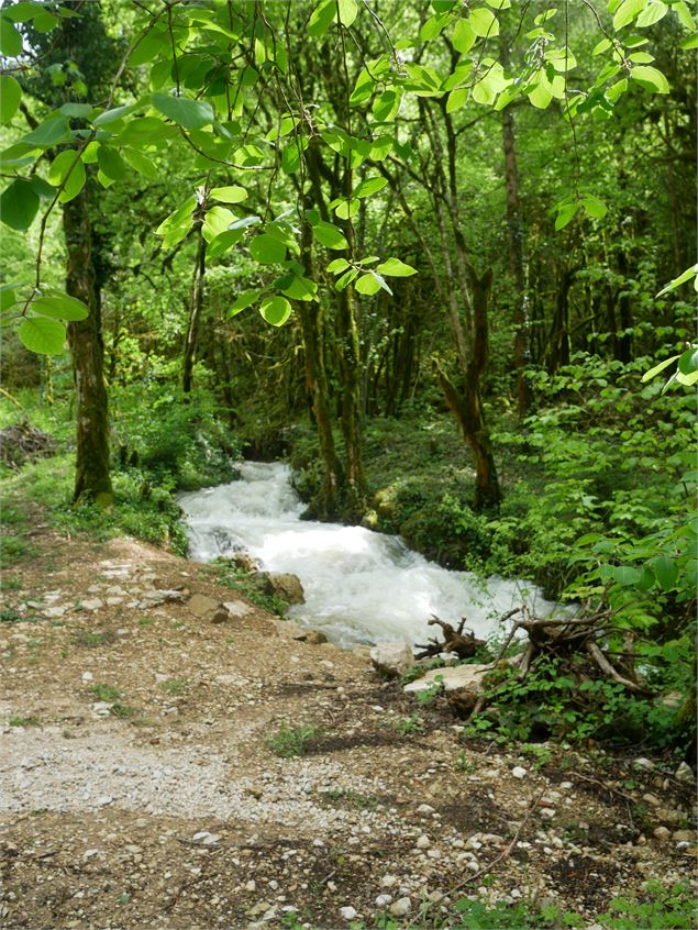 Cascade de Pisse-Vache - Morgane Saillard