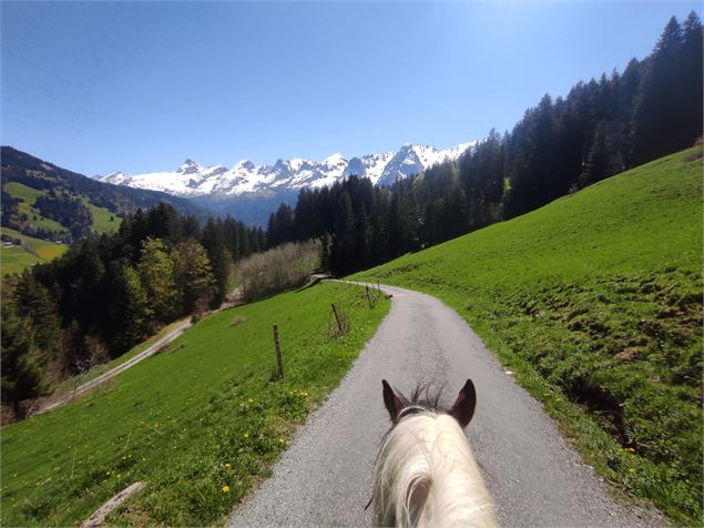 Balade à poney face à la chaîne des Aravis - Equit'horizon