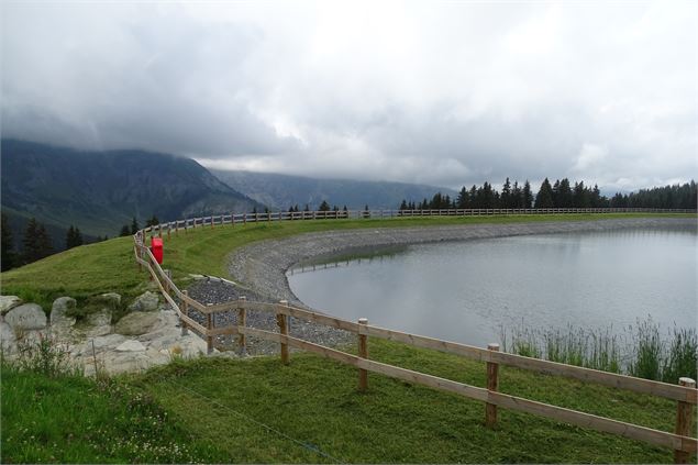 Lac de Joux - M. Mautué