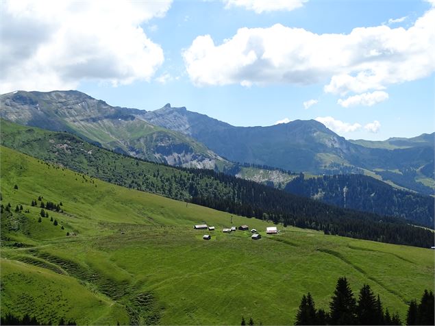 Aiguille croche, Hermance - M. Mautué