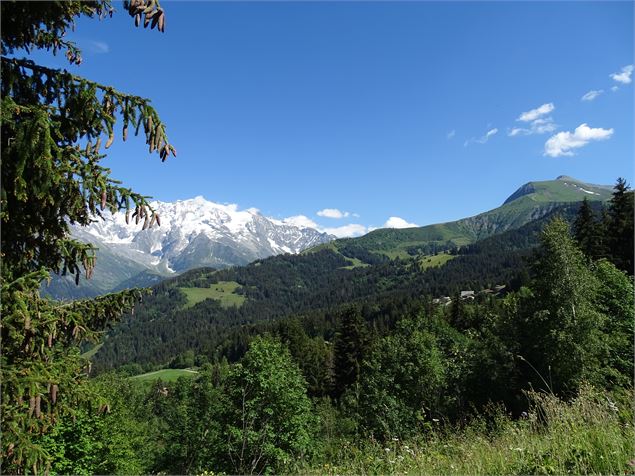 Montée du Mont Joly - M. Mautué