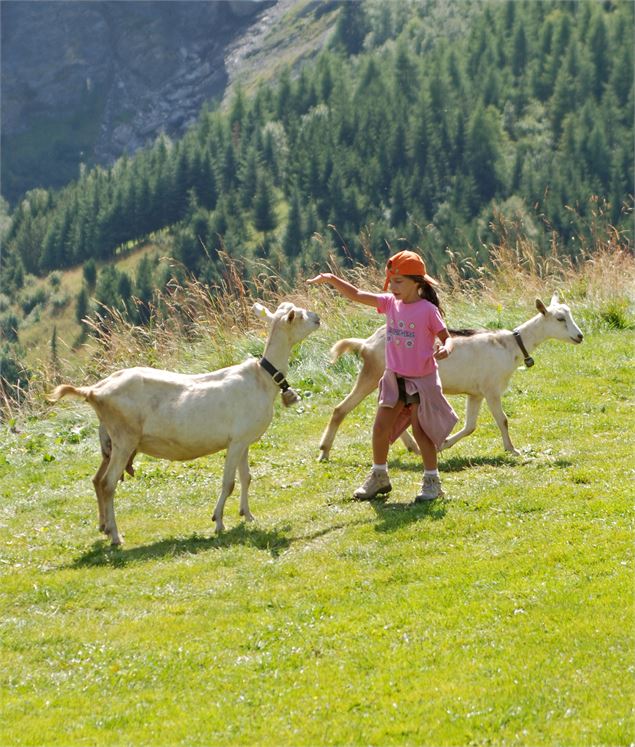 Sentier balisé été 