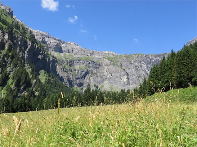 Randonnée vers le refuge et l'alpage des fonts - Refuge des Fonts