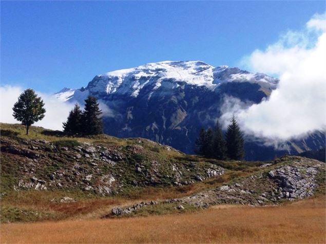 Col d'Anterne - Refuge Alfred Wills