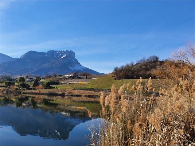 Lac Saint-André - Savoie Mont Blanc - Lansard