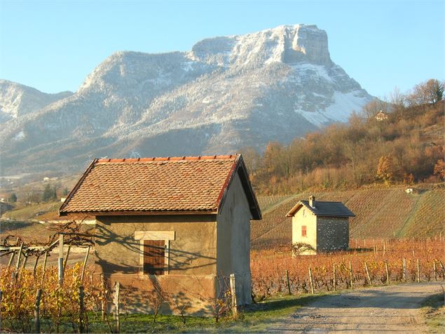 Sartos au pied du Granier - Savoie Mont Blanc - Lansard